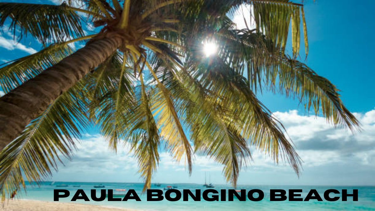 paula bongino beach