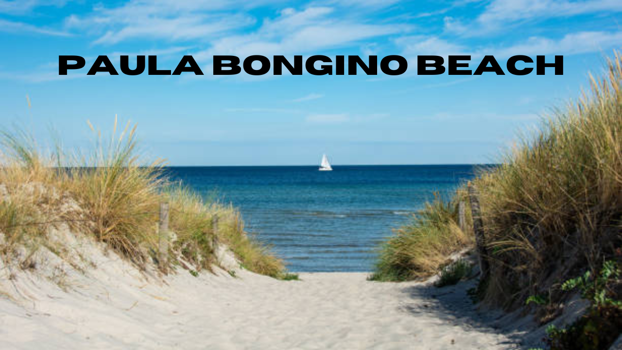 paula bongino beach