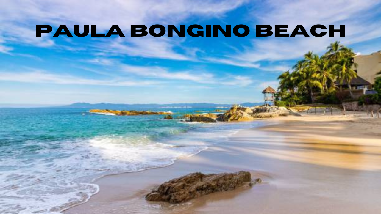 paula bongino beach
